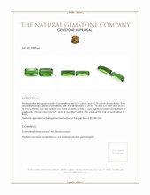 22.56 Ct.Tw.Total Carat Weight Tourmaline Pair from Brazil Appraisal