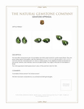 17.10 Ct.Tw.Total Carat Weight Tourmaline Pair from Brazil Appraisal