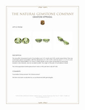 7.62 Ct.Tw.Total Carat Weight Tourmaline Pair from Brazil Appraisal