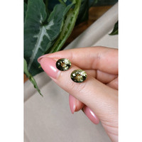 7.62 Ct.Tw.Total Carat Weight Tourmaline Pair from Brazil Life Style