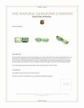 7.93 Ct.Tw.Total Carat Weight Tourmaline Pair from Brazil Appraisal