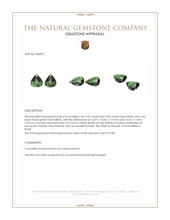 18.55 Ct.Tw.Total Carat Weight Green Tourmaline Pair from Brazil Appraisal