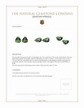 18.55 Ct.Tw.Total Carat Weight Tourmaline Pair from Brazil Appraisal