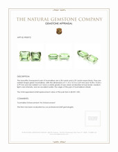 12.77 Ct.Tw.Total Carat Weight Tourmaline Pair from Brazil Appraisal