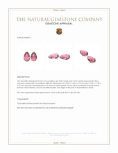 20.16 Ct.Tw.Total Carat Weight Pink Tourmaline Pair from Brazil Appraisal