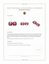 12.93 Ct.Tw.Total Carat Weight Tourmaline Pair from Brazil Appraisal