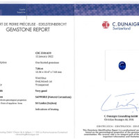 15.53 Ct.Tw.Total Carat Weight Blue Sapphire Pair from Ceylon (Sri Lanka) Scan Report