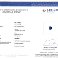 12.30&nbsp;Ct.Tw.Total Carat Weight Blue Sapphire Pair from Ceylon (Sri Lanka) Scan Report