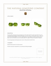 16.18 Ct.Tw.Total Carat Weight Peridot Pair from Pakistan Appraisal