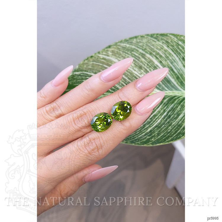15.51 Ct.Tw. Peridot Pair from Pakistan