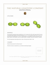 31.57 Ct.Tw.Total Carat Weight Green Peridot Pair from Pakistan Appraisal