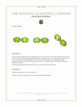 31.57 Ct.Tw.Total Carat Weight Green (Lime Green) Peridot Pair from Pakistan Appraisal