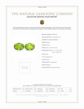 31.57 Ct.Tw.Total Carat Weight Green Peridot Pair from Pakistan Scan Report