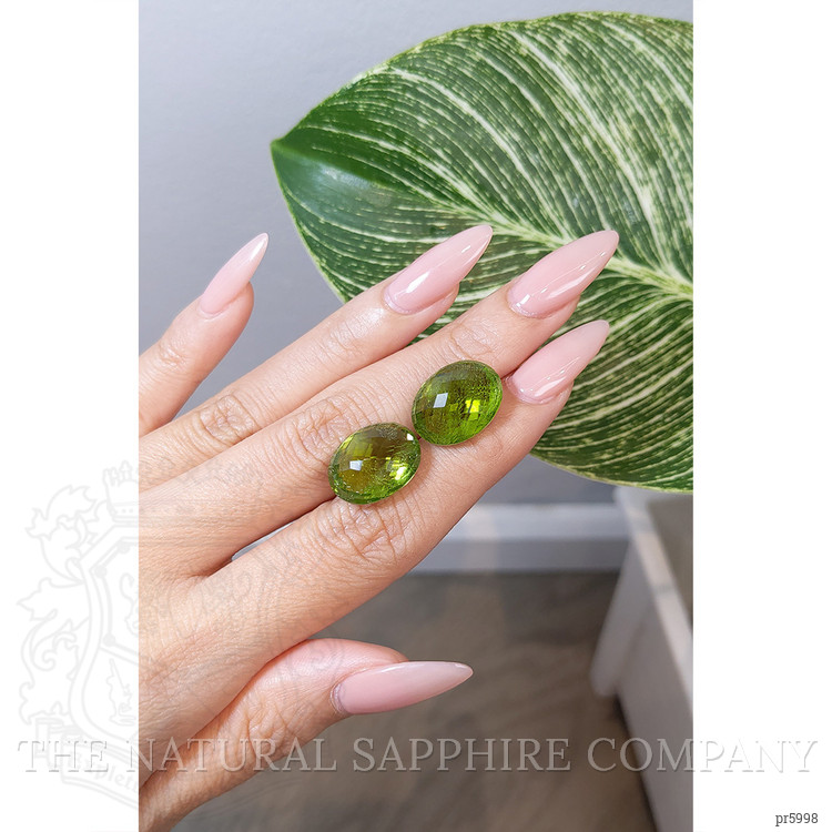 31.57 Ct.Tw. Peridot Pair from Pakistan