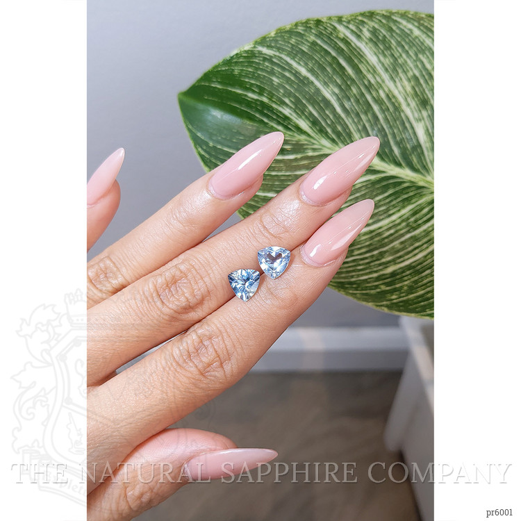 2.87 Ct.Tw. Aquamarine Pair from Brazil