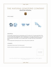 2.30 Ct.Tw.Total Carat Weight Aquamarine Pair from Brazil Appraisal