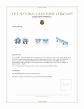 6.70&nbsp;Ct.Tw.Total Carat Weight Aquamarine Pair from Brazil Appraisal