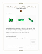 4.52 Ct.Tw.Total Carat Weight Emerald Pair from Zambia Appraisal