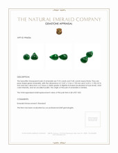 18.63&nbsp;Ct.Tw.Total Carat Weight Cabochon Emerald Pair from Zambia Appraisal