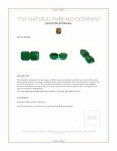 6.06 Ct.Tw.Total Carat Weight Emerald Pair from Afghanistan Appraisal