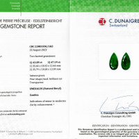 91.08 Ct.Tw.Total Carat Weight Emerald Pair from Zambia Scan Report