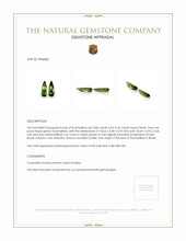 8.22 Ct.Tw.Total Carat Weight Tourmaline Pair from Brazil Appraisal