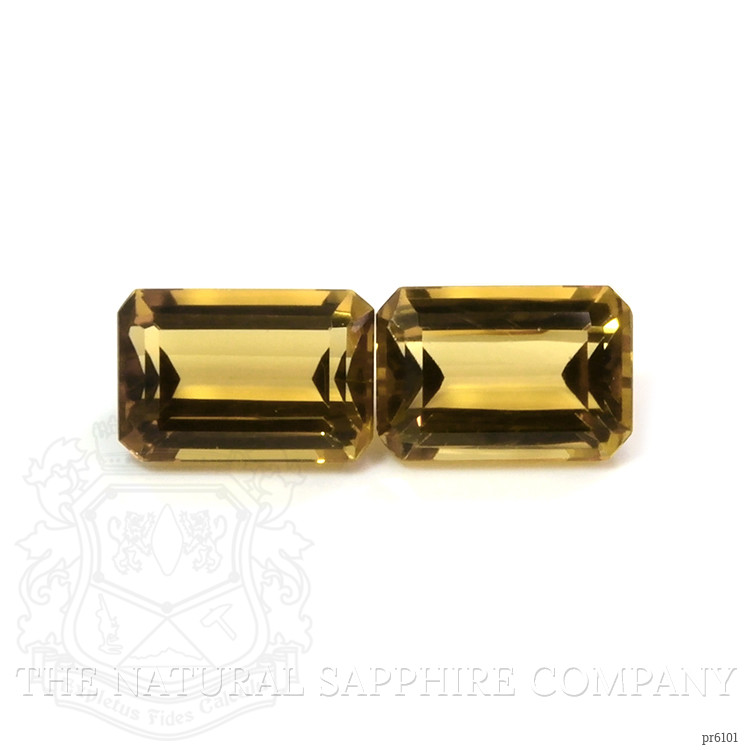 17.78 Ct.Tw. Citrine Pair from Brazil