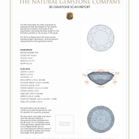 Jewelry 3 D Scan Report