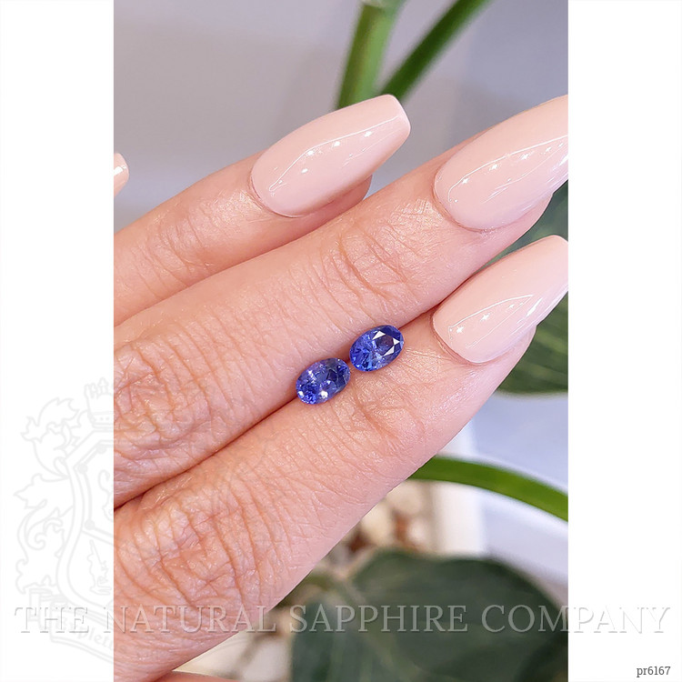 1.35 Ct.Tw. Blue Sapphire Pair from Ceylon (Sri Lanka)