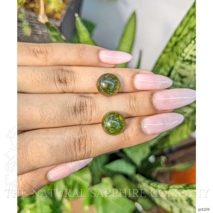 13.59 Ct.Tw. Cabochon Tourmaline Pair from Mozambique