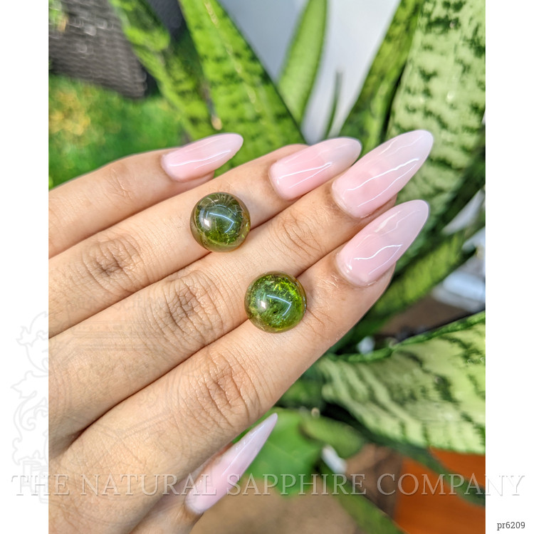 13.59 Ct.Tw. Cabochon Tourmaline Pair from Mozambique