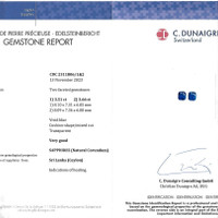 7.18&nbsp;Ct.Tw.Total Carat Weight Blue Sapphire Pair from Ceylon (Sri Lanka) Scan Report