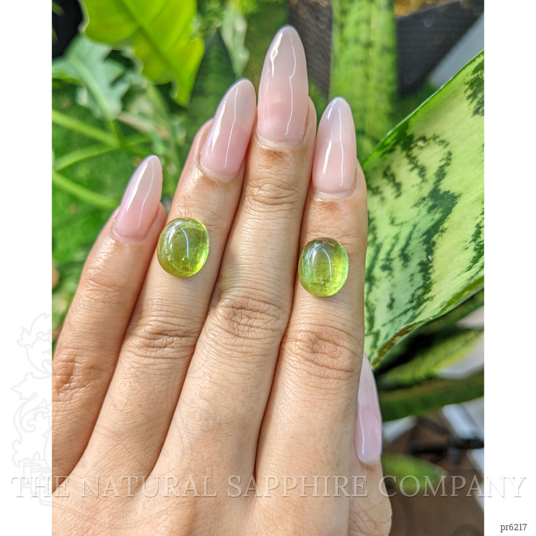 11.62 Ct.Tw. Cabochon Tourmaline Pair from Mozambique