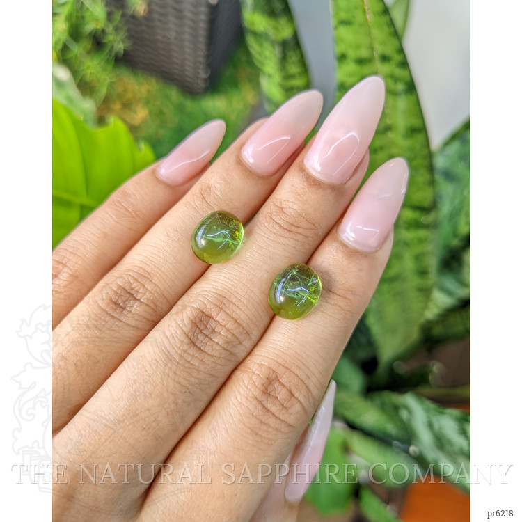 8.81 Ct.Tw. Tourmaline Pair from Mozambique