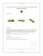 0.49 Ct.Tw.Total Carat Weight Tourmaline Pair from Mozambique Appraisal