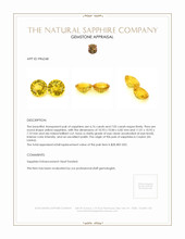 13.81&nbsp;Ct.Tw.Total Carat Weight Yellow Sapphire Pair from Ceylon (Sri Lanka) Appraisal