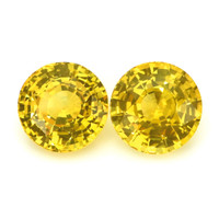 13.81&nbsp;Ct.Tw.Total Carat Weight Yellow Sapphire Pair from Ceylon (Sri Lanka) Video