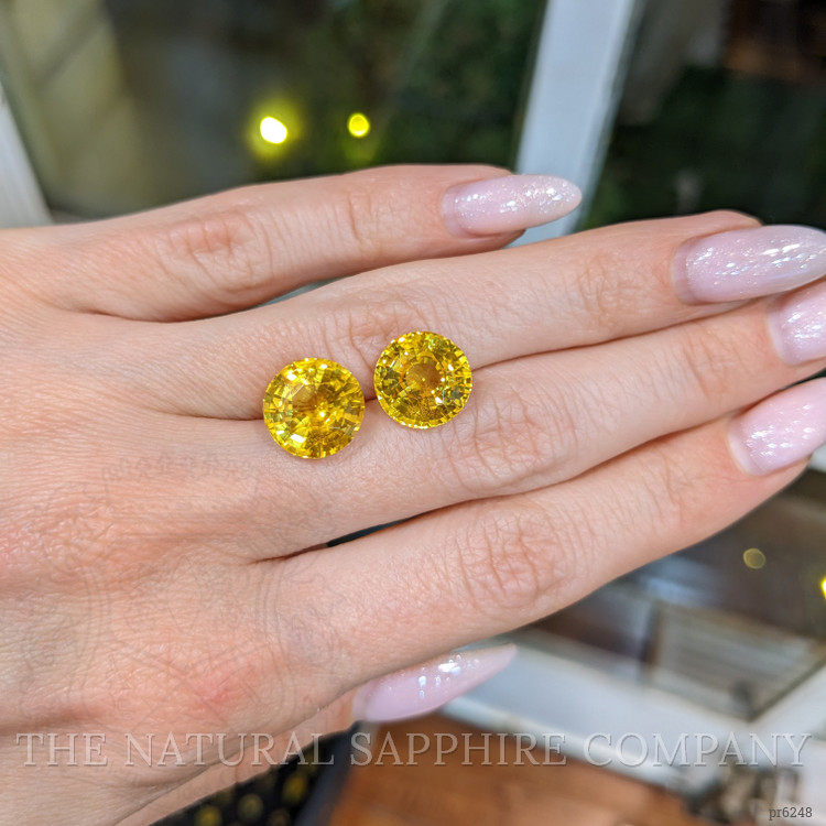 13.81 Ct.Tw. Yellow Sapphire Pair from Ceylon (Sri Lanka)
