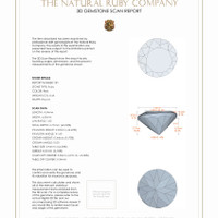 Jewelry 3 D Scan Report