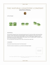 1.56 Ct.Tw.Total Carat Weight Demantoid Garnet Pair from Madagascar Appraisal