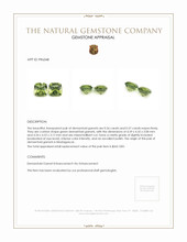 1.13 Ct.Tw.Total Carat Weight Demantoid Garnet Pair from Madagascar Appraisal