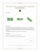 2.55 Ct.Tw.Total Carat Weight Demantoid Garnet Pair from Madagascar Appraisal