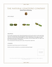 0.80 Ct.Tw.Total Carat Weight Demantoid Garnet Pair from Madagascar Appraisal