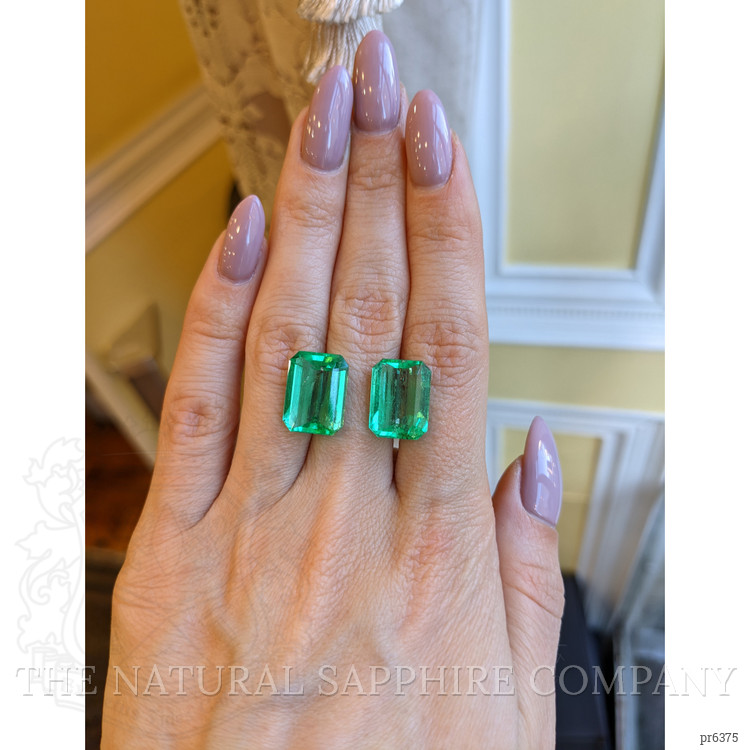 15.44 Ct.Tw. Emerald Pair from Colombia