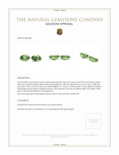 1.14 Ct.Tw.Total Carat Weight Demantoid Garnet Pair from Madagascar Appraisal