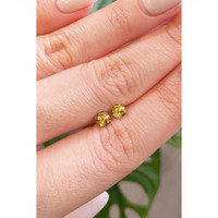 1.02 Ct.Tw.Total Carat Weight Sphene (Titanite) Pair from Madagascar Life Style