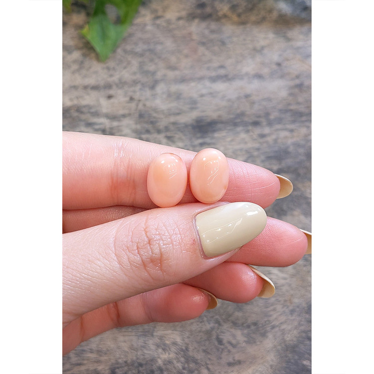 13.15 Ct.Tw. Coral Pair from Australia