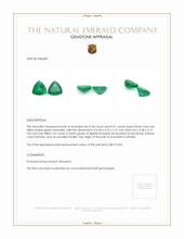 0.59&nbsp;Ct.Tw.Total Carat Weight Emerald Pair from Zambia Appraisal