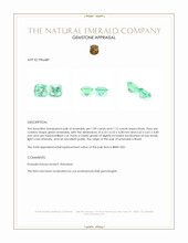 Jewelry Appraisal