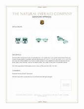 2.89&nbsp;Ct.Tw.Total Carat Weight Emerald Pair from Brazil Appraisal